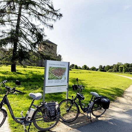 Wohnen Im Alten Amtsgericht Im Herzen Von ซานเทน ภายนอก รูปภาพ